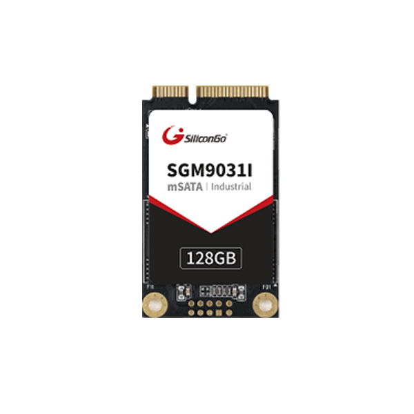 mSATA SSD — SGM9031I 系列