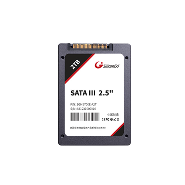PCIe Gen3x4 U.2 SSD — SGM9700E 系列