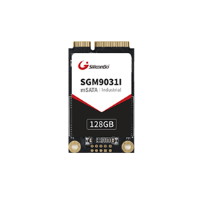 mSATA SSD — SGM9031I 系列