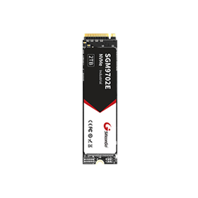 PCIe Gen3x4 M.2 SSD — SGM9702E 系列